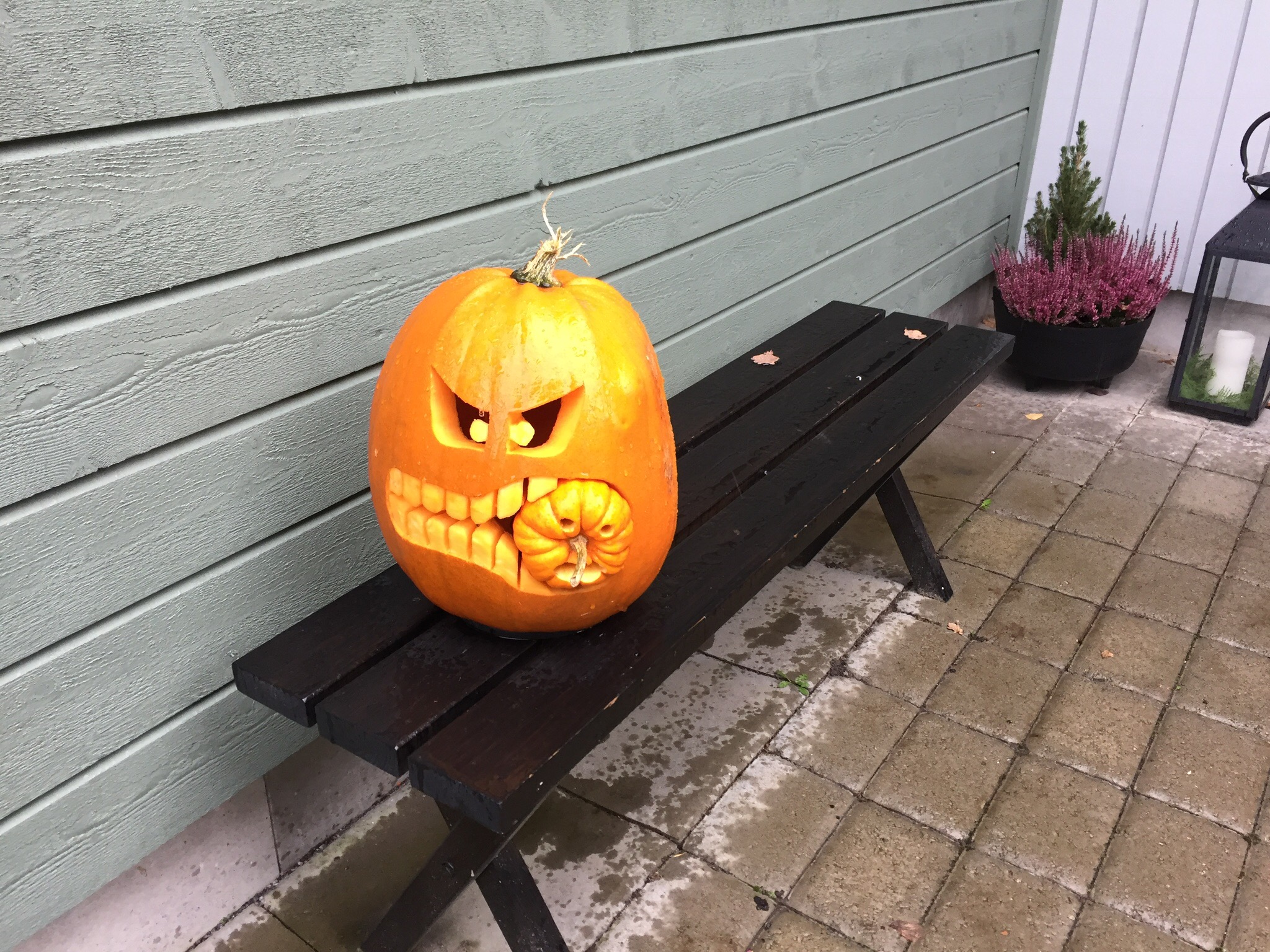 Halloweenpumpa, halloweenpumpkin