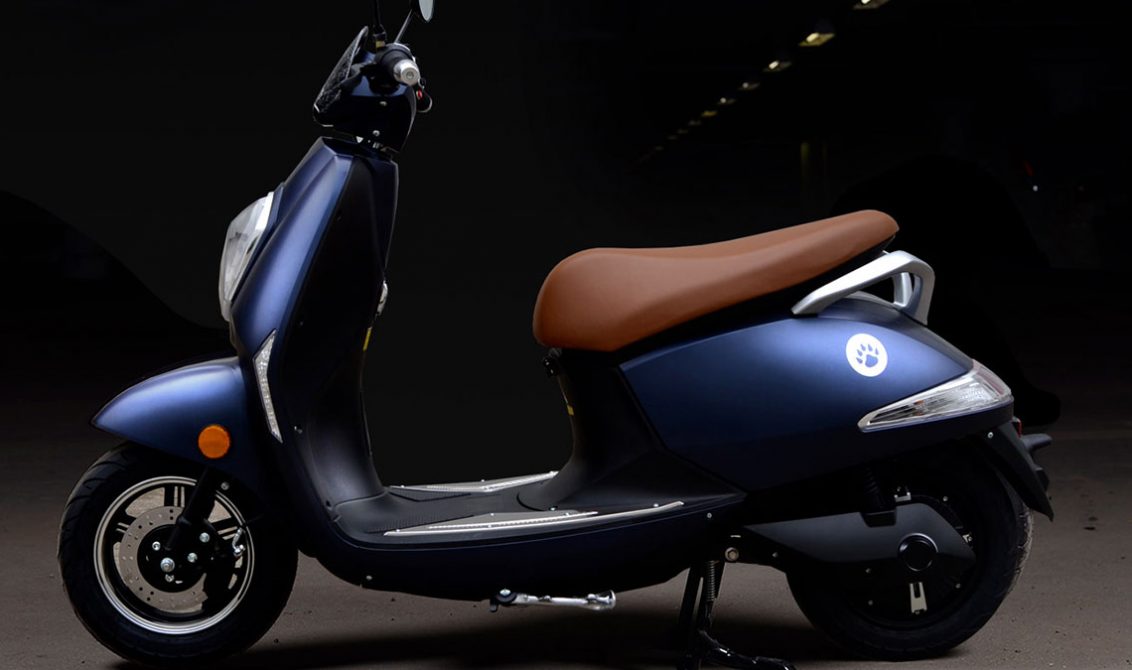 E5C81984-D02D-4261-A637-E397ED315667