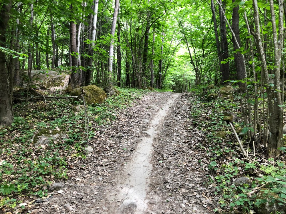 3E37B87E-3BAB-4BE2-A1C5-67E2E1FC399D