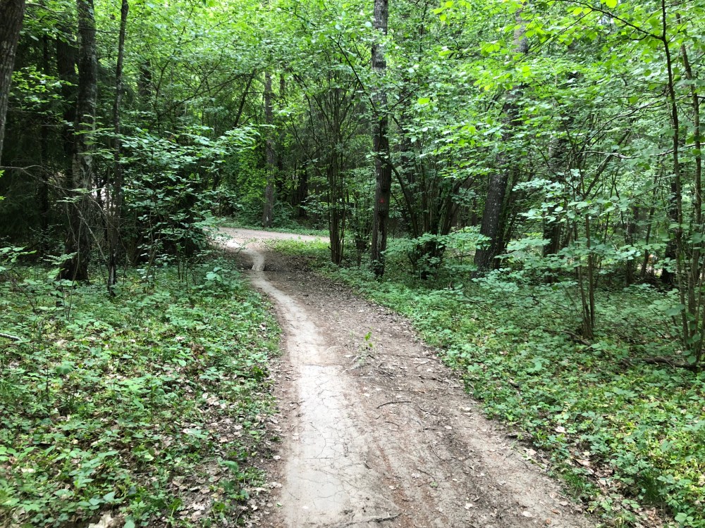 99D6FCEC-66EA-45C3-9D08-5DEFDB8A9606