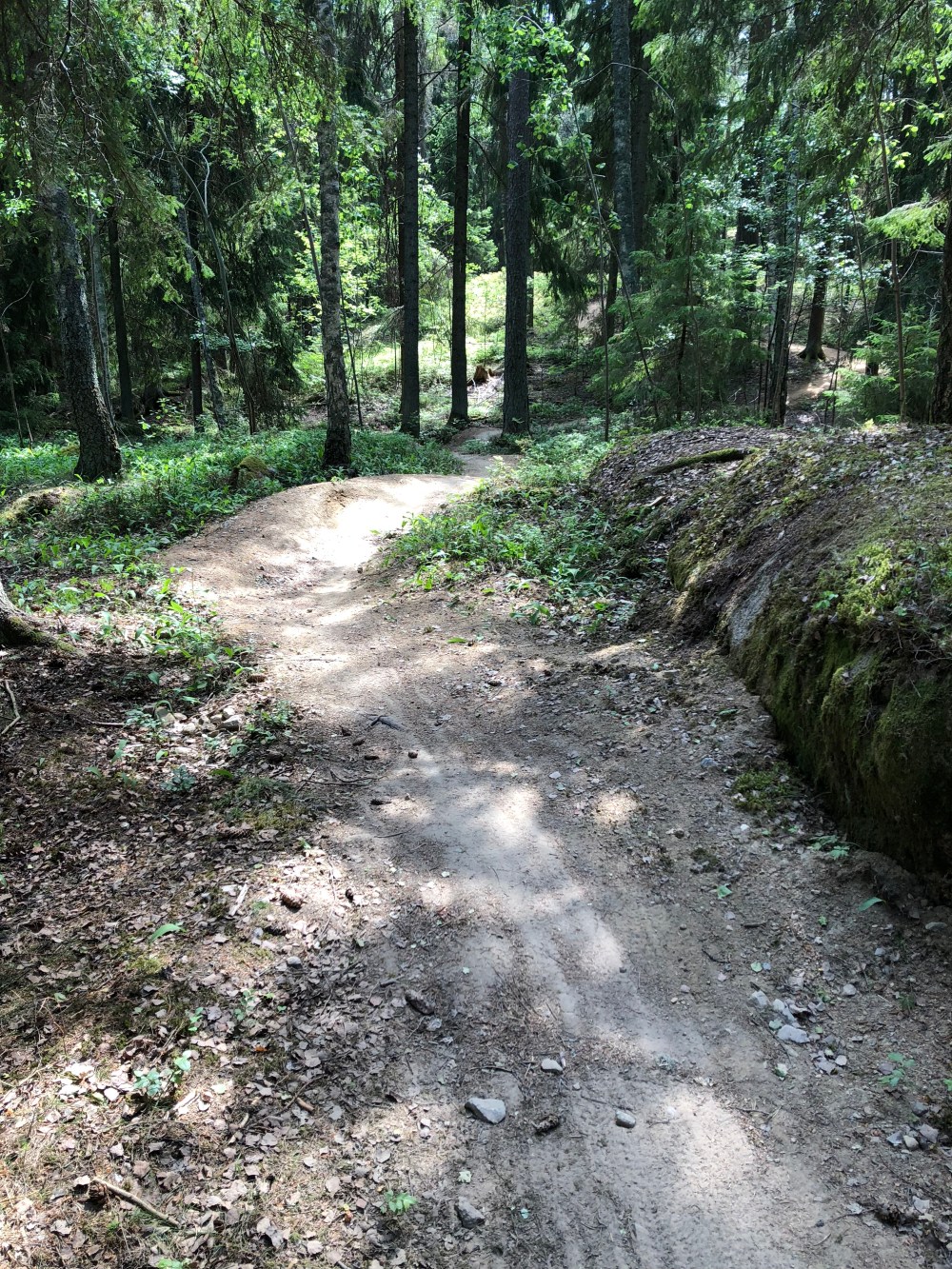 C45884F1-8404-4CD0-A47B-95D7B55D2DF6