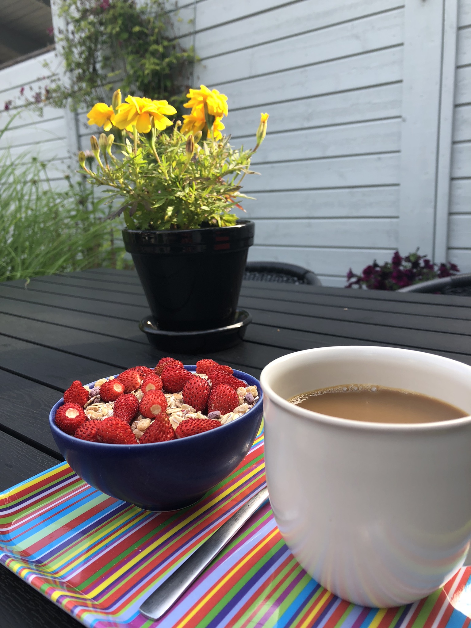 4230F619-DFD0-4AEA-A725-F1E65AECC95A