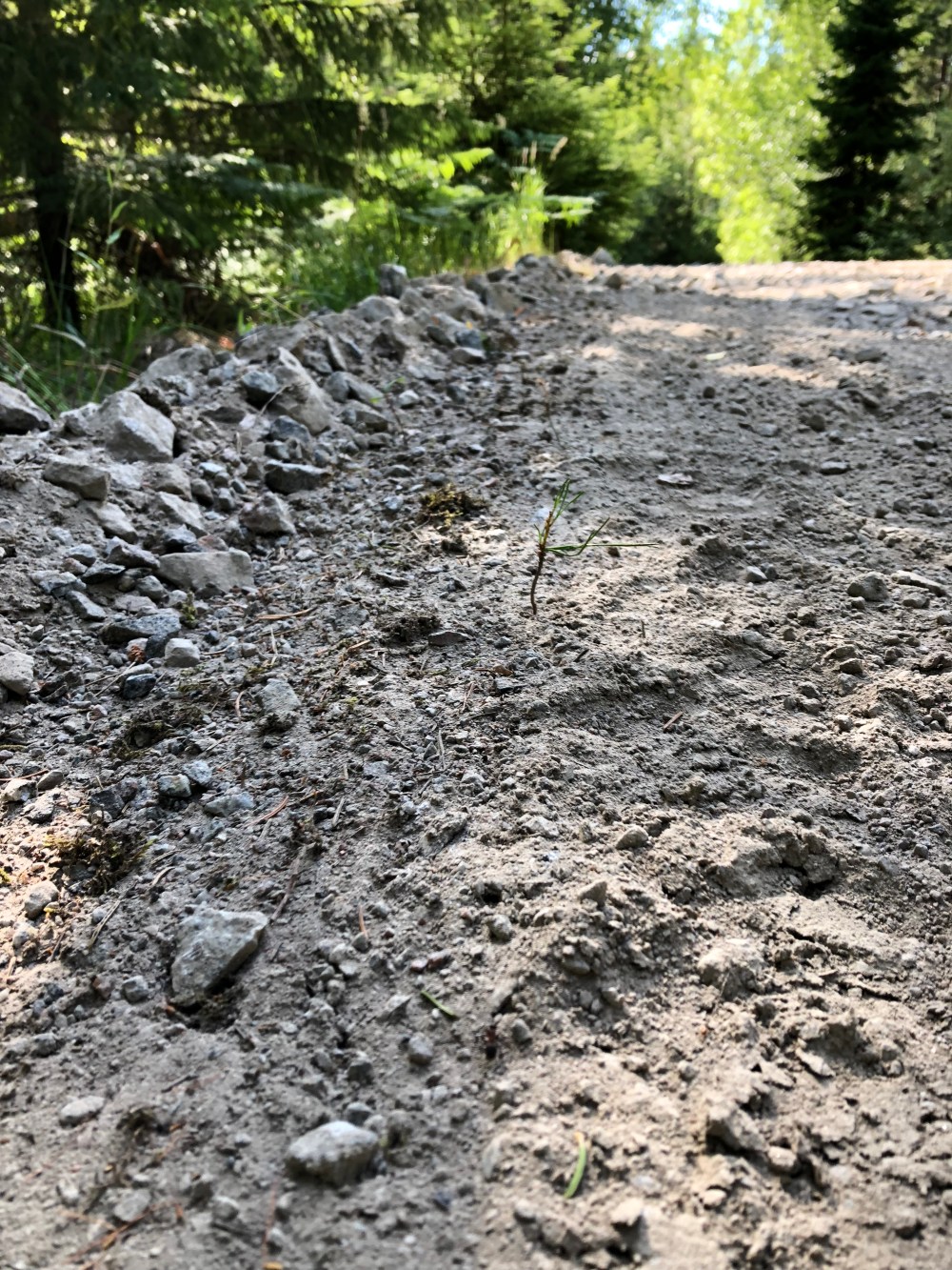 5162EB88-C231-409F-9CEF-945F8CA2149D