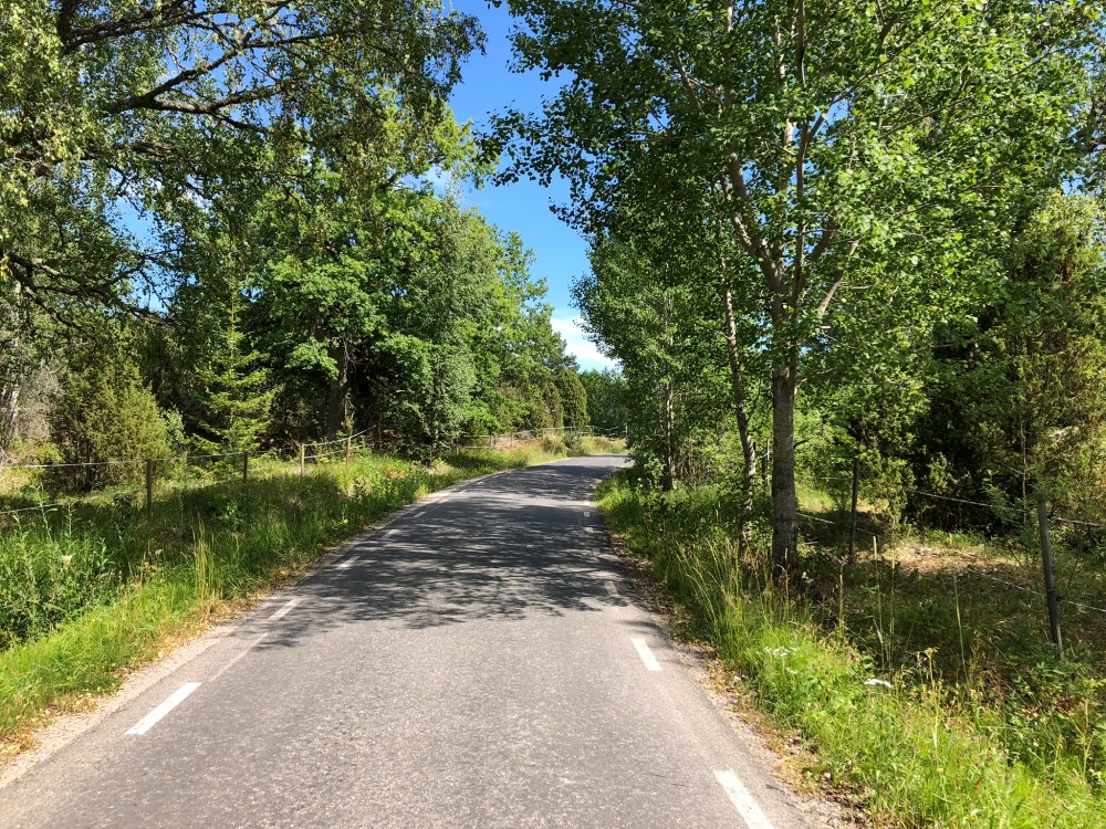 5AE0DE58-BC59-49D0-85B8-1BA39E994449