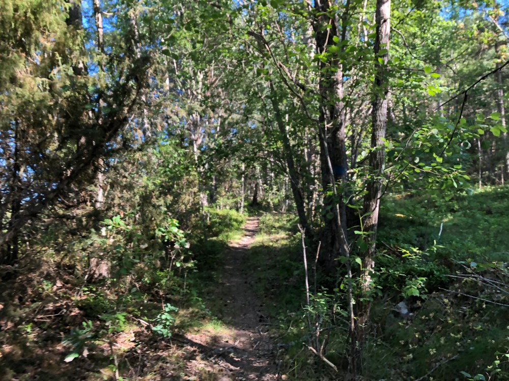 8AFF0AC6-E0BE-44C9-B0E2-302FDACB298C