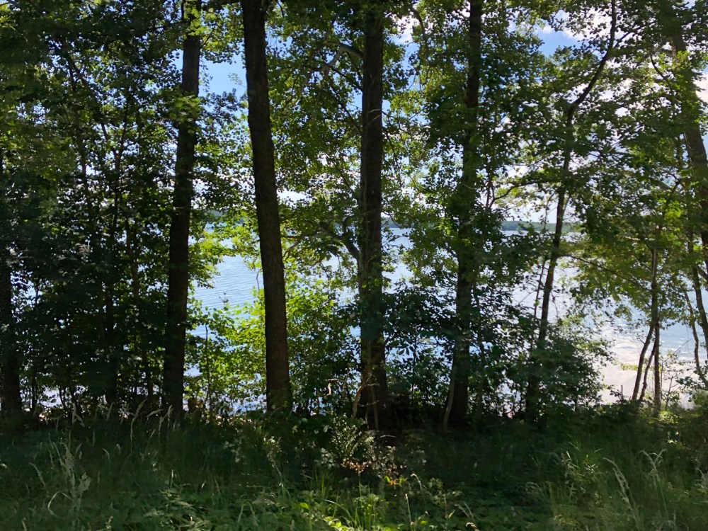 9D6A0418-35AA-4DB3-B3A0-ADDE8E4C3852