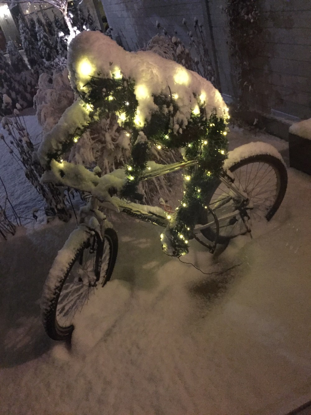 18014B31-B0B8-40B0-9104-D30F6EF37272