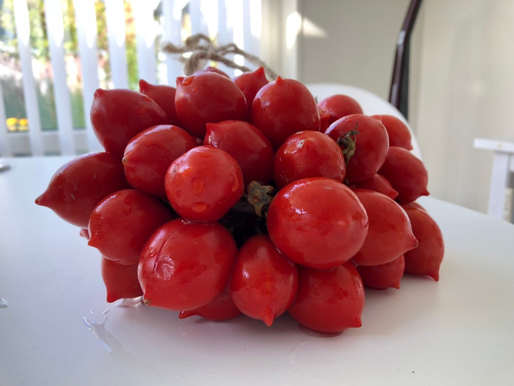 A55F184D-0FE2-4C87-8487-AD1D41002D40