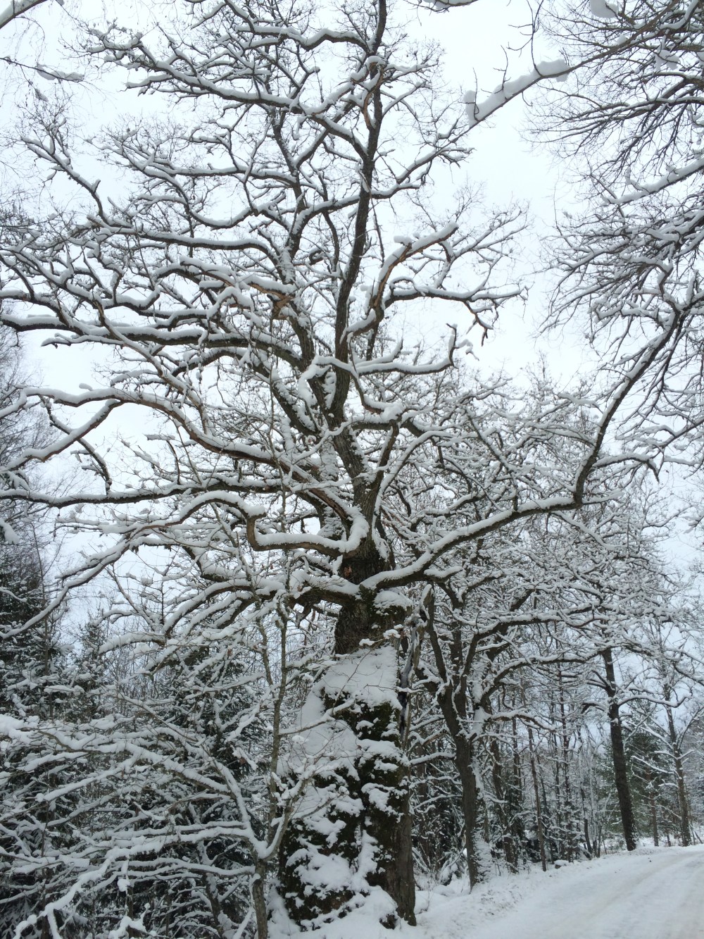 05E4E98C-0C03-4B23-B20A-2EEEFADB5EED