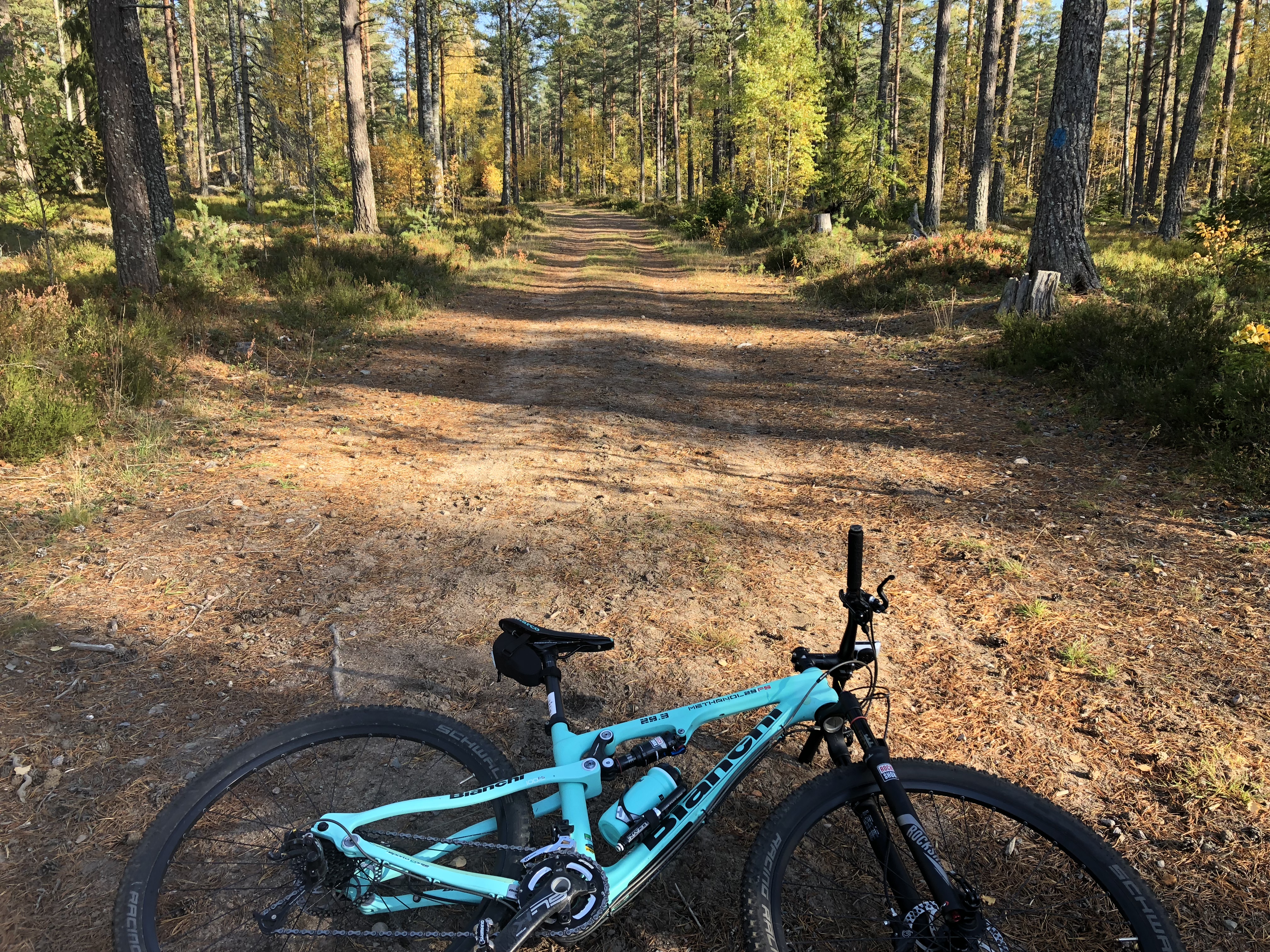 4B8CC33E-6D3D-4765-81D4-D2C75A95C99B