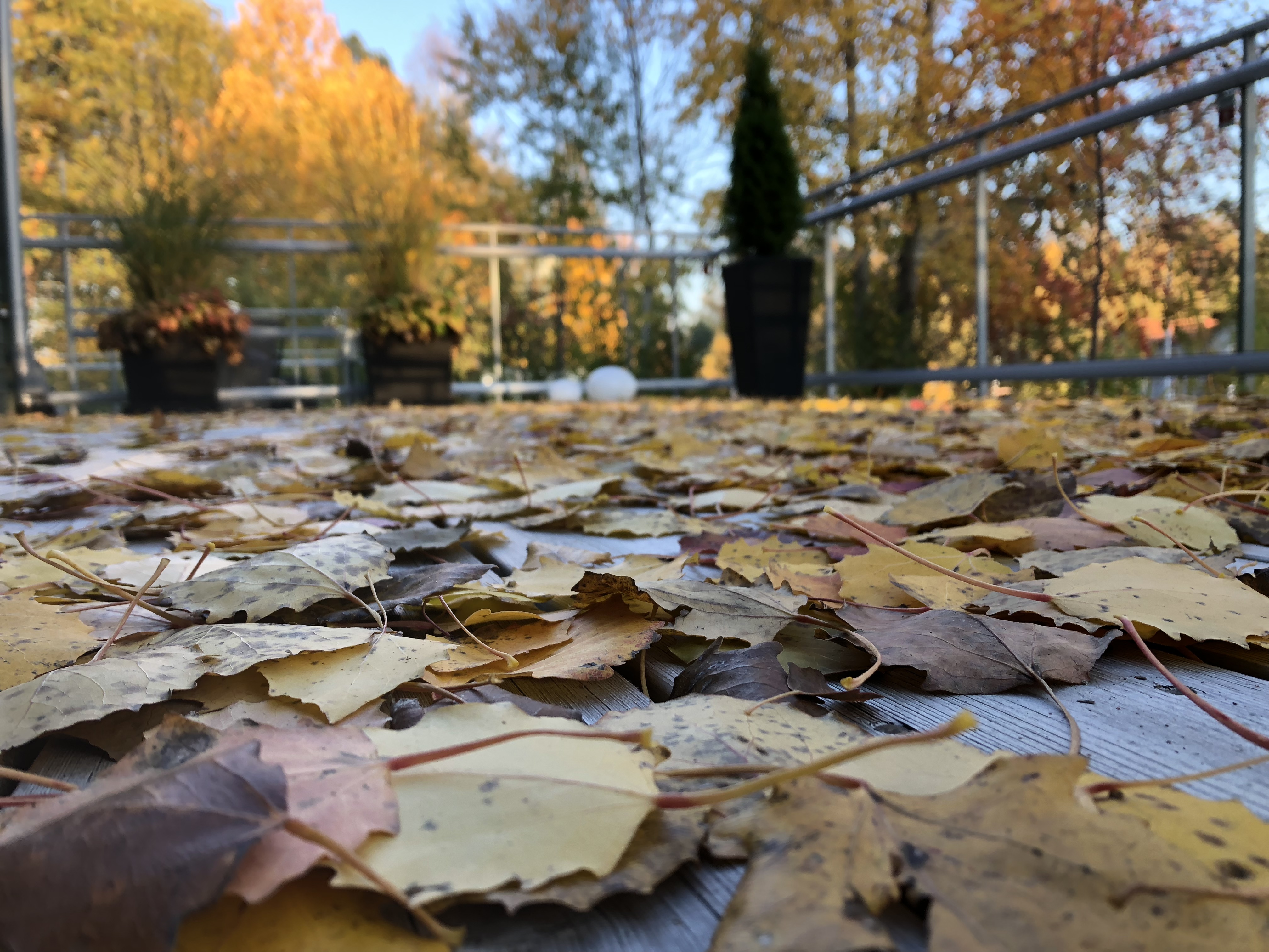 8F2A8EED-EF54-4671-90AA-7F38697990FD