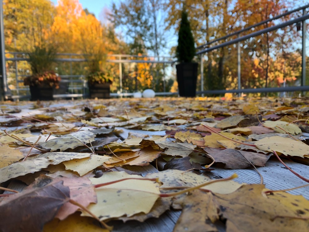 8F2A8EED-EF54-4671-90AA-7F38697990FD