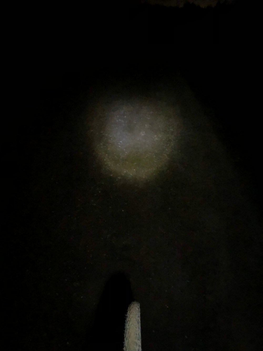 9F777055-CFE0-49CE-8E24-777E418E5FA6