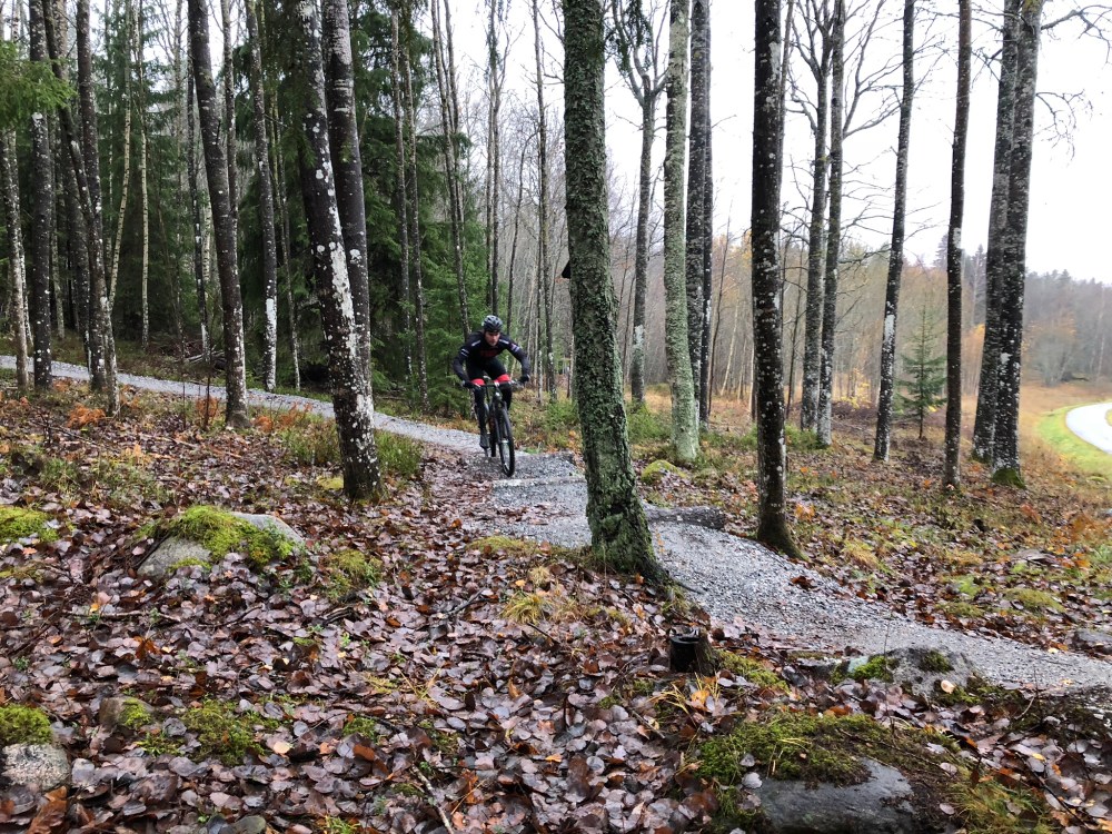 713FA3CC-AD24-41B5-8E58-CCA288D8276A