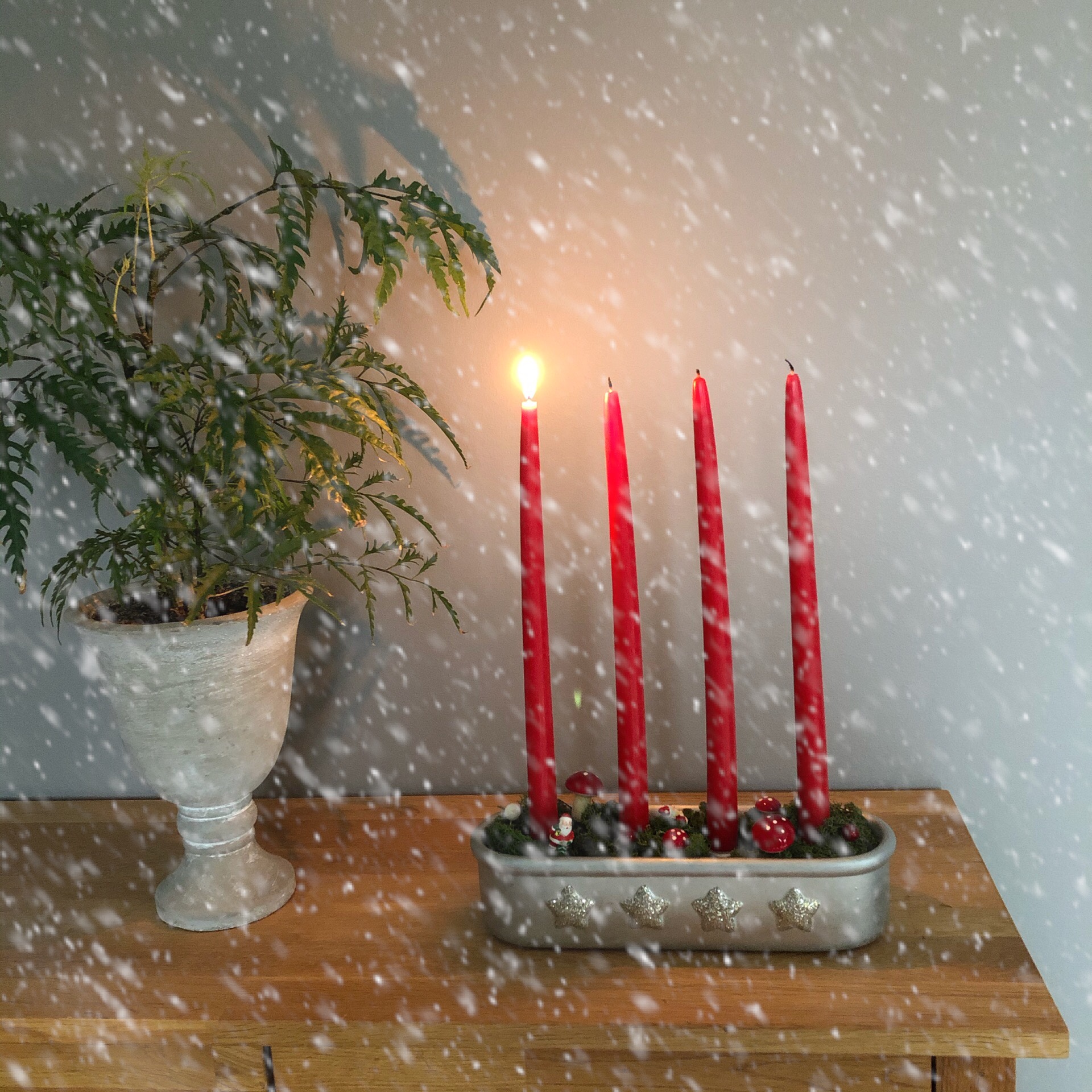 Första advent innebär att du ska läsa första adventsdikten